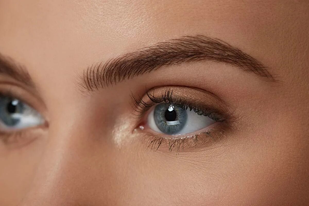2 brow