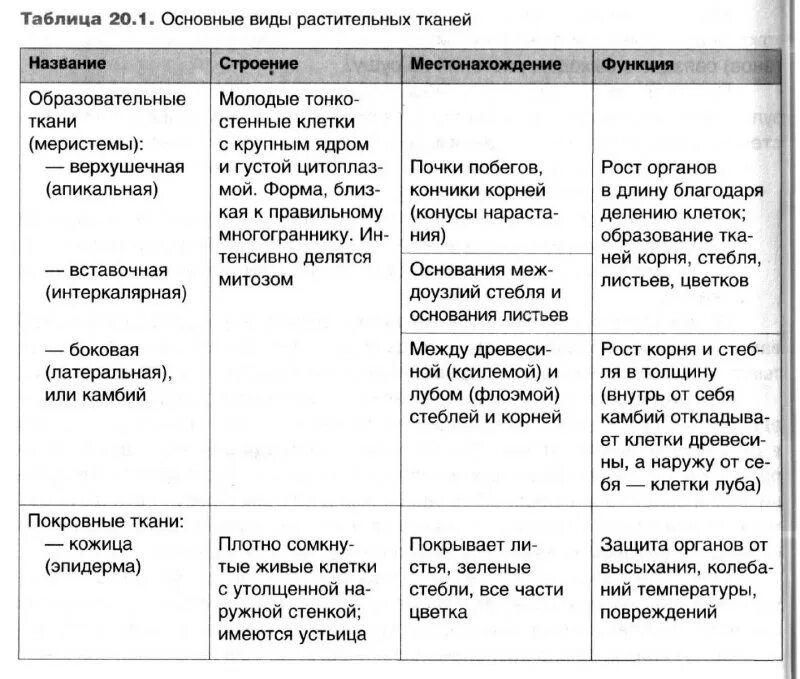 ткани биология 8 класс. биология 8 класс ткани человека конспект. название ткани строение функции таблица. виды тканей строение функции органы. таблица ткани животных организмов 10 класс.