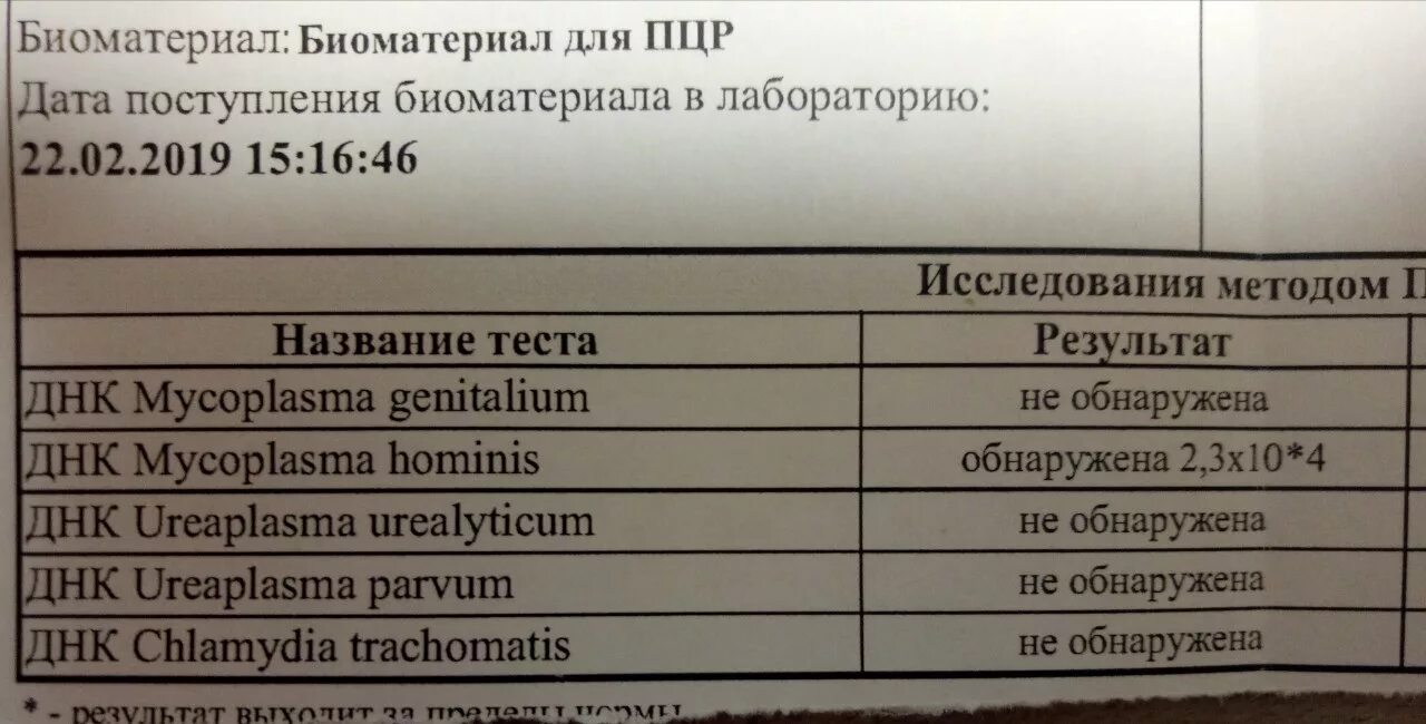 Mycoplasma hominis полукол днк. Mycoplasma hominis полукол днк