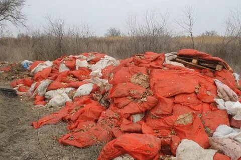 Биологические отходы