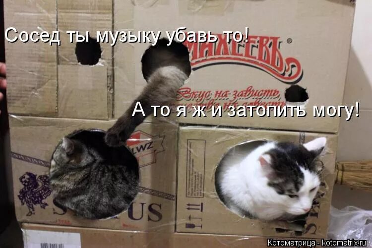 Убавь какая. Убавь звук мем. Убавь громкость. Ты сосед. Ты втираешь.