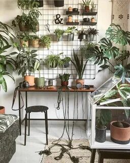 Plant i home