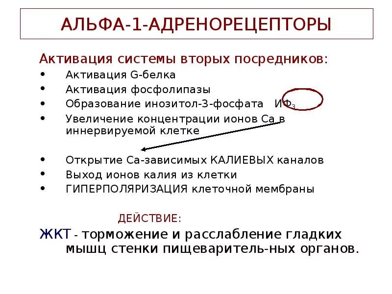 Альфа 1а. Отличие Альфа 1 от Альфа 2 адренорецепторов. Альфа 1 и Альфа 2 адренорецепторы механизм действия. Альма1 адренорецепторы. Альфа 1 адренорецепторы.