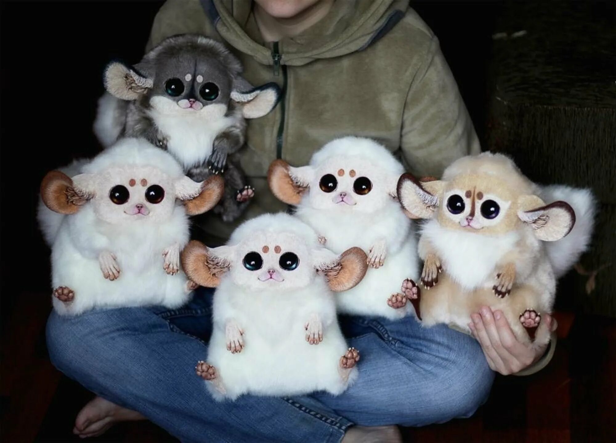 Как выглядят настоящие игрушки. Мадагаскарский глазоух. игрушки santaniel inari foxes. мексиканский глазоух животное. кукольные монстрики santaniel.