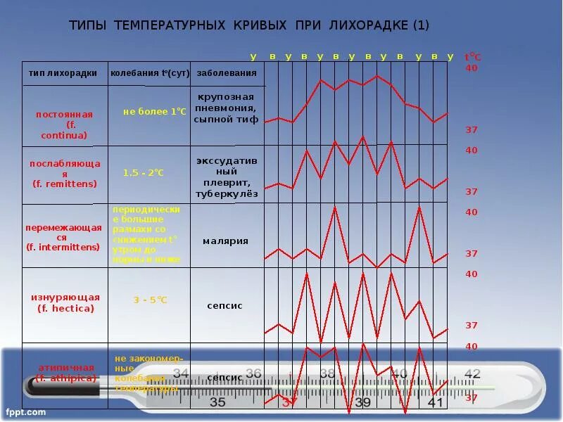 Виды лихорадок и заболевания