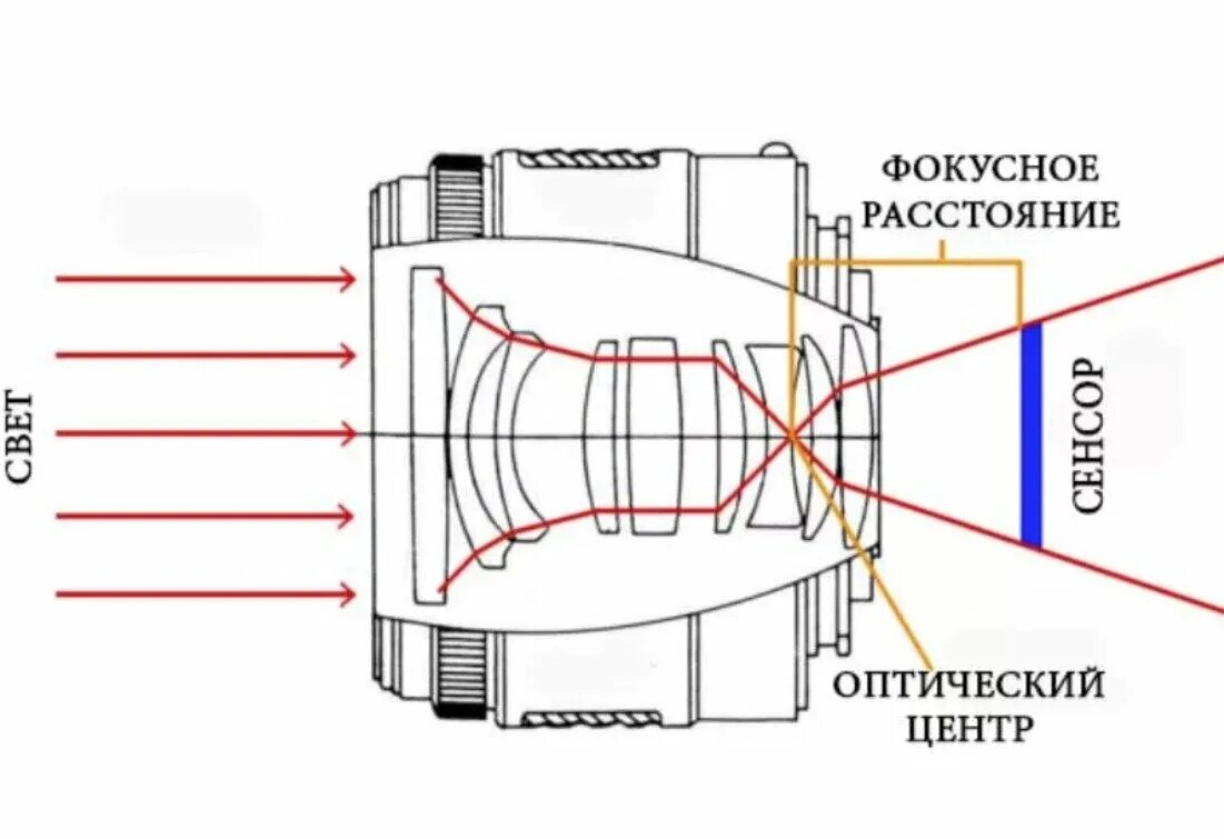 Оптический центр объектива. Оптическая схема длиннофокусного объектива. Оптическая схема длиннофокусного объектива фотоаппарата. Оптическая схема светосильного объектива. Объектив Canon EF 50 мм оптическая схема.