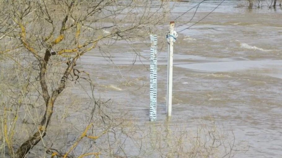 Какой уровень воды возле оренбурга