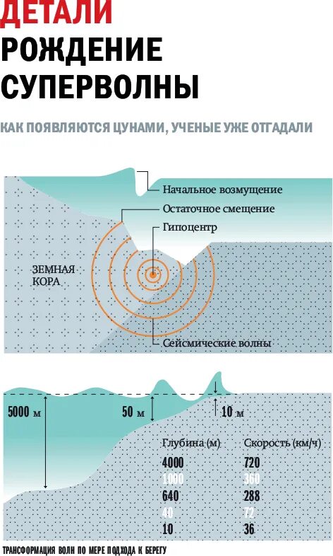 В каком океане чаще всего возникают цунами. Как образуется цунами. ученые по цунами. сила цунами ученый. авиационные и глубинные волны.