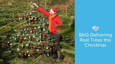 Walking around christmas tree
