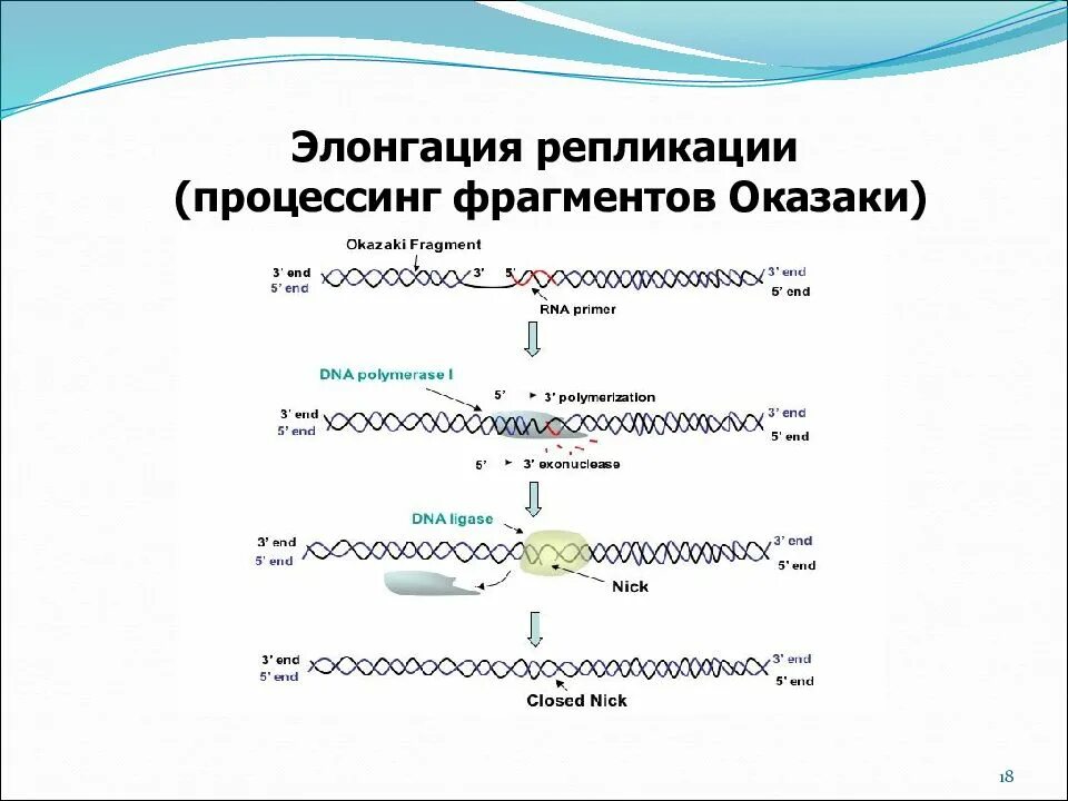 Матричная репликация