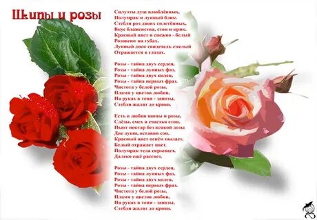 Шипы и розы читаем