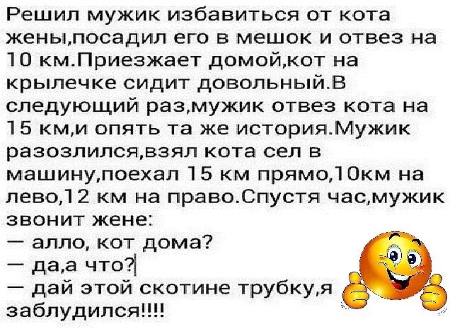 Решила дать парню. Решила дать парню. Мемы про парней. Дай коту трубку я заблудился анекдот. Дала парню.