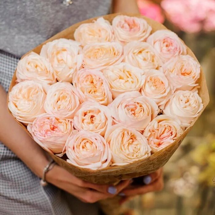 пионовидные розы за штуку. дуобукеты. моно букет пионовидных роз. монобукет розы. пионовидные розы за штуку.