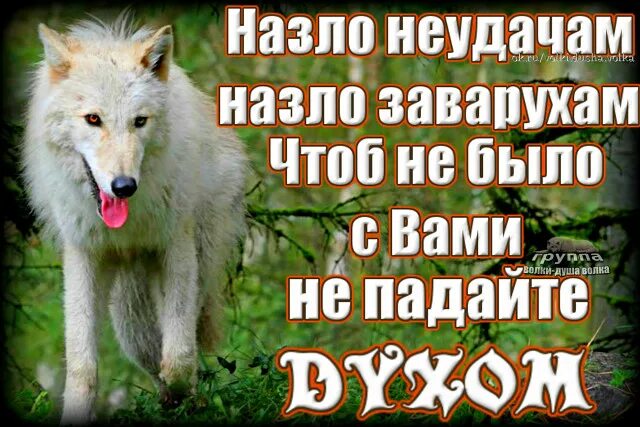 Врагам назло. Стих назло неудачам назло заварухам. Назло форум. Назло поперек плакаты. Я буду сильной всем чертям назло картинки.