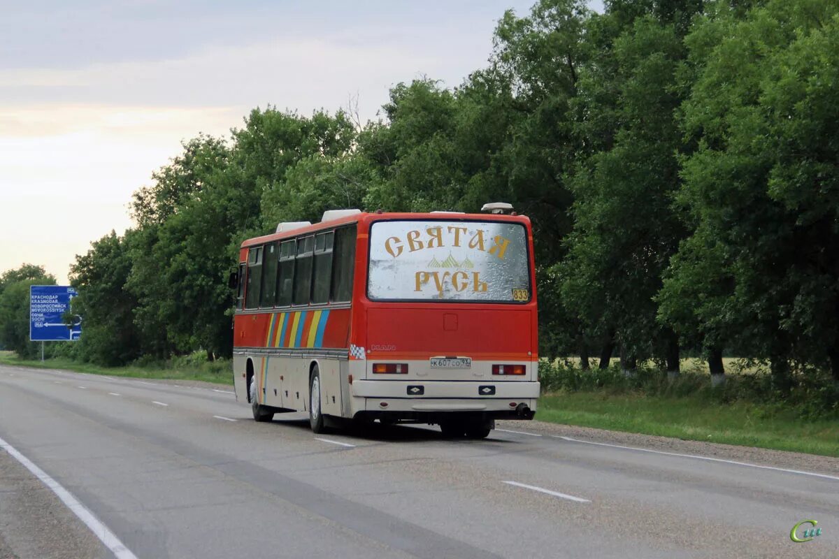 Икарус 250.59. Икарус-250.59 Одоев. Ikarus 250.59 № 101. Икарус 250 Ростовской области.