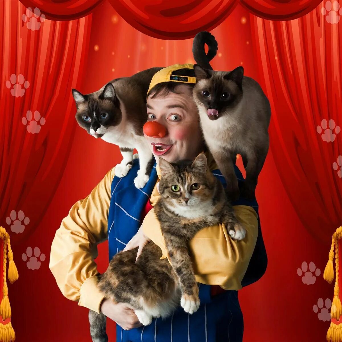 Особенность кресел в театре кошек куклачева. Театр кошек Юрия куклачёва.