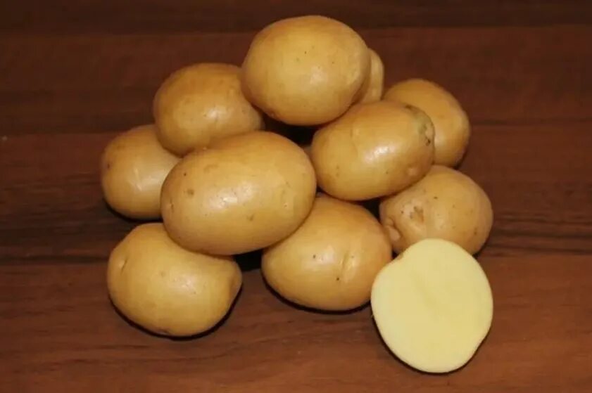 Сорт картофеля гулливер характеристика. Картофель Гулливер. Картофель Адретта. Картофель Колобок семена. Рассыпчатые сорта картофеля.