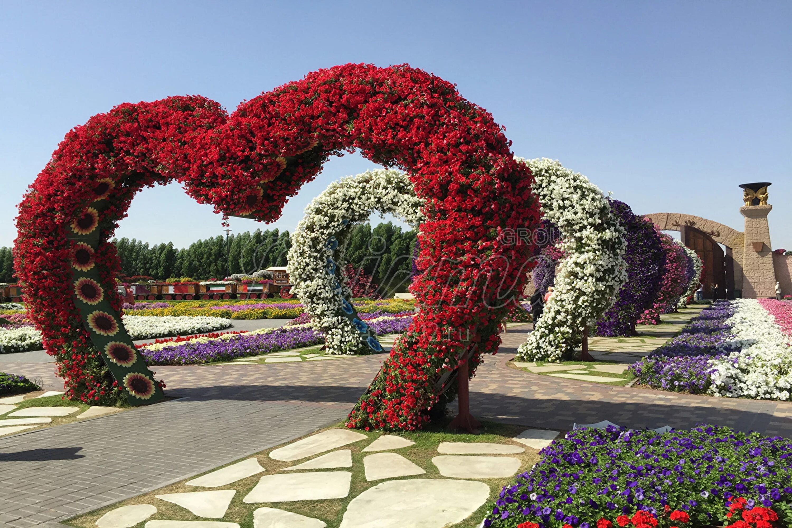 Miracle Garden Дубай. Гарденс Дубай. Дубай Флауэрс Гарден. Миракл Гарден парк цветов Дубай. Арка для петуньи