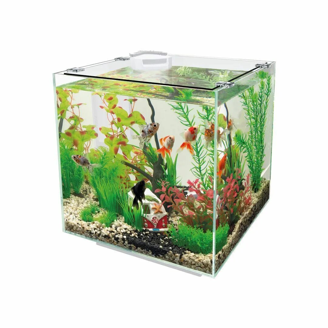Аквариумы л. Кубик 30л аквариум. Аквариум куб 30 л. Aquael Nano Cube. Аквариум 30 л куб черный Aquael.