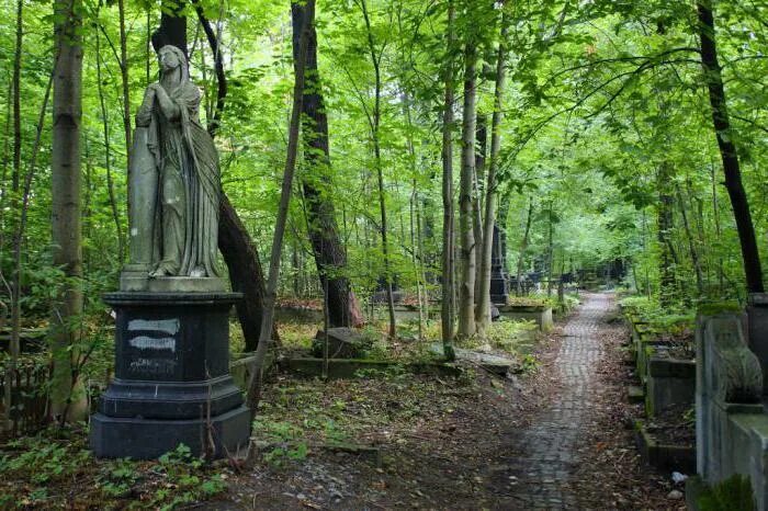 Смоленское кладбище в санкт петербурге сайт. Смоленское лютеранское кладбище. лютеранское кладбище в санкт-петербурге. смоленское кладбище питер. смоленское лютеранское кладбище в санкт-петербурге тропинка.