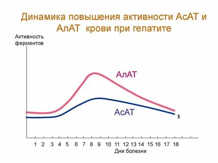 Повышение активности у мужчин