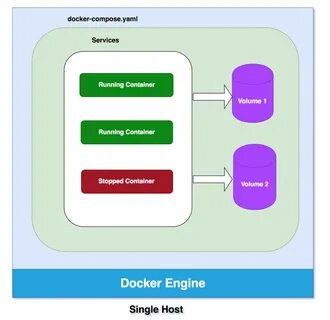 Docker compose env variables