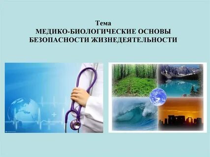 Безопасность жизни деятельности человека