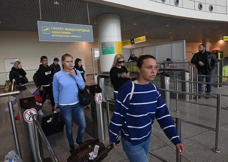 Вывозят из египта