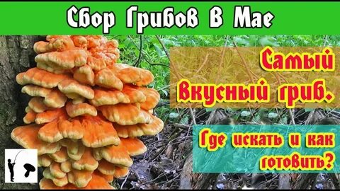 Почему грибы вкусные