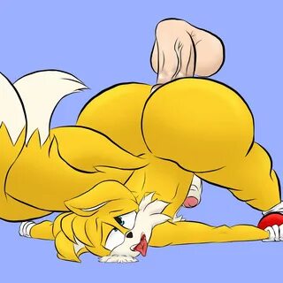 Sonic tails porn.