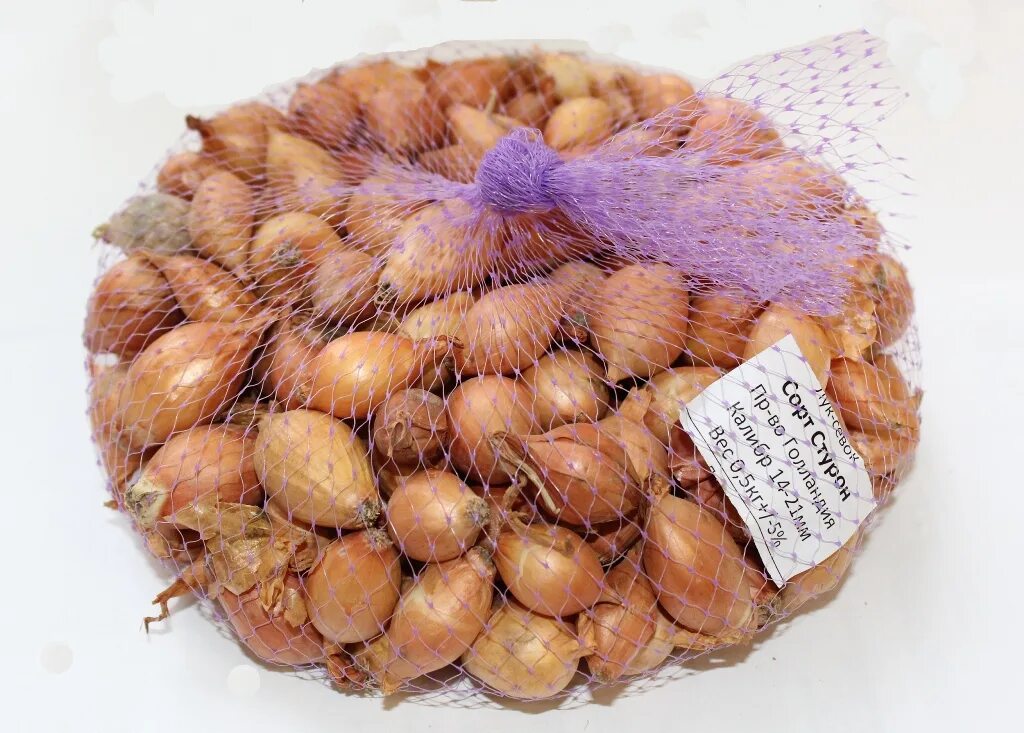 лук севок 1 кг