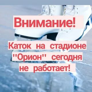 Каток орион