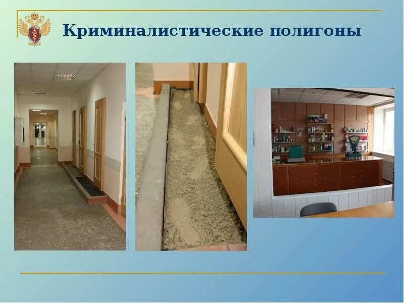 Эксперт криминалист. Криминалистический полигон офис. Криминалист. Криминалистический полигон офис. Криминалистический полигон.