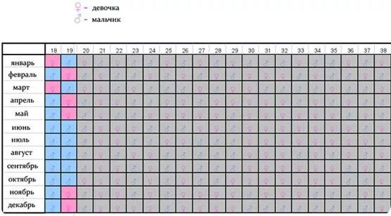 Карта беременности девушки и мальчики. Карта беременности 2023. Мальчик и девочка карта беременной. Китайский календарь беременности. Календарь беременности мальчик 2024