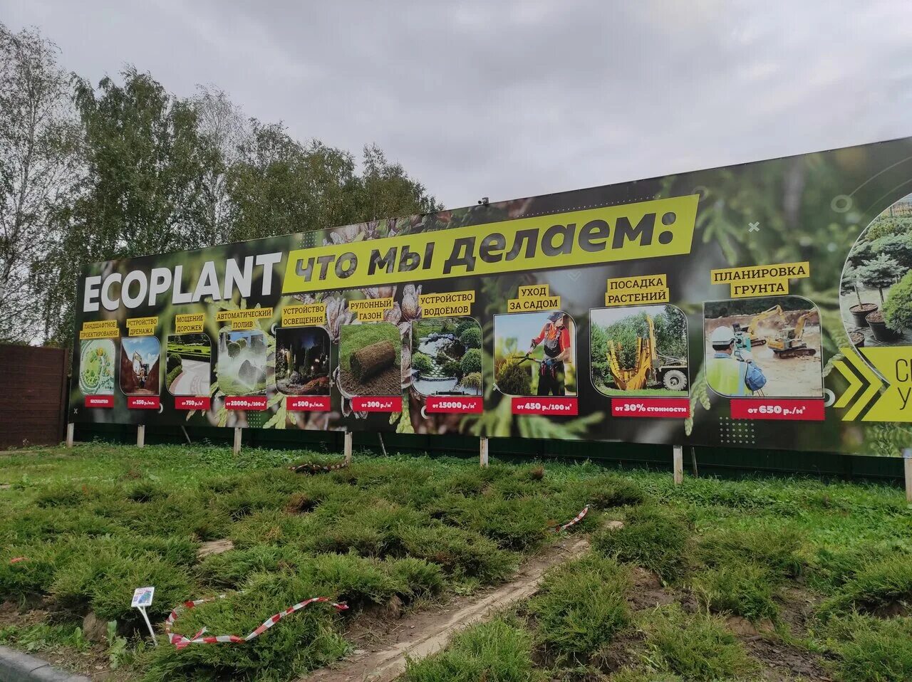 Eco plant. Экоплант. Экоплант питомник растений Москва. Экоплант питомник растений Красногорск. Садовый центр Экоплант в Ильинском.