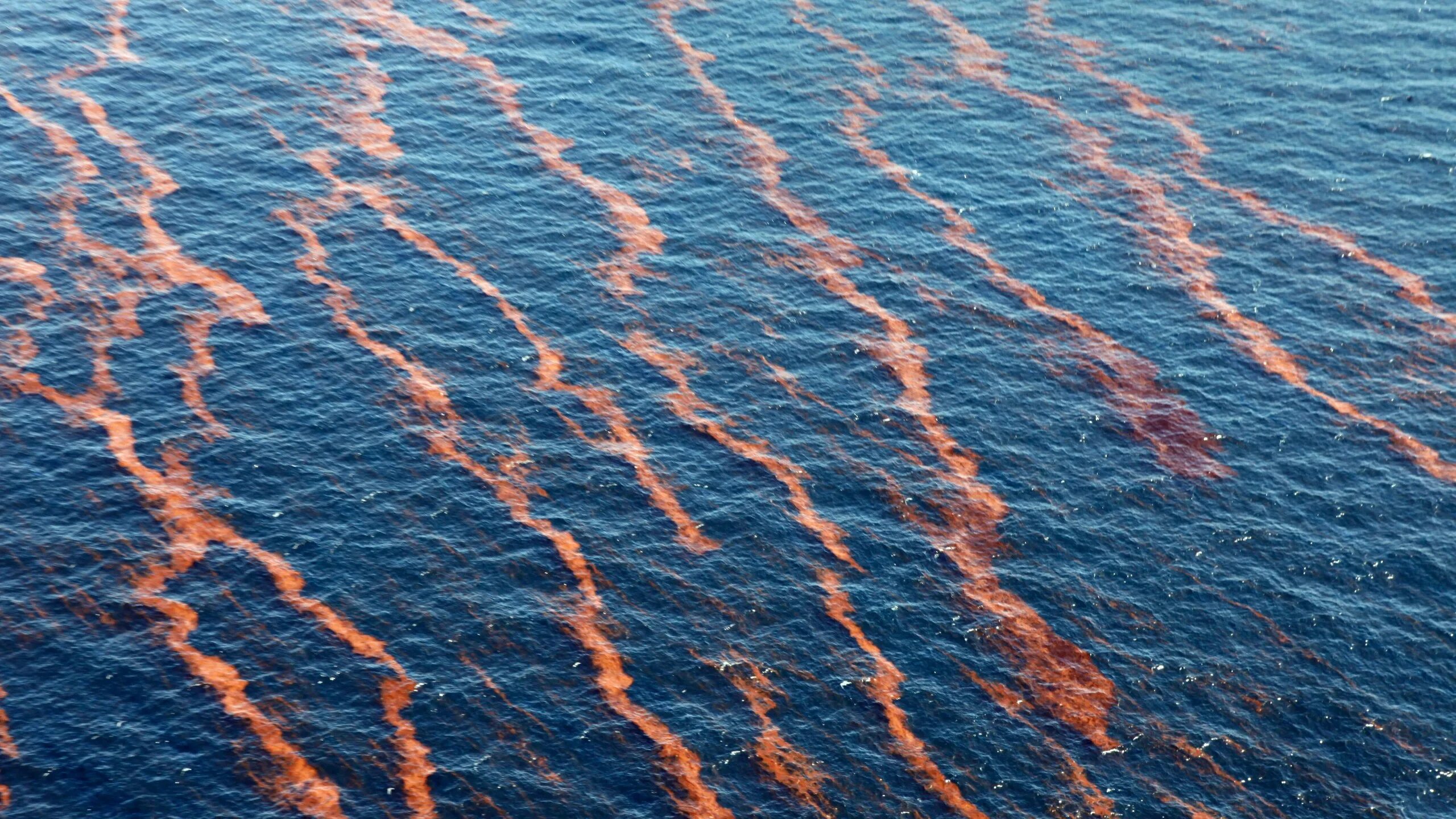 Персидский залив загрязнение. Нефтяные пятна в океане. Нефтяное загрязнение мирового океана. Разлив нефти в океане. Нефть атлантическом океане