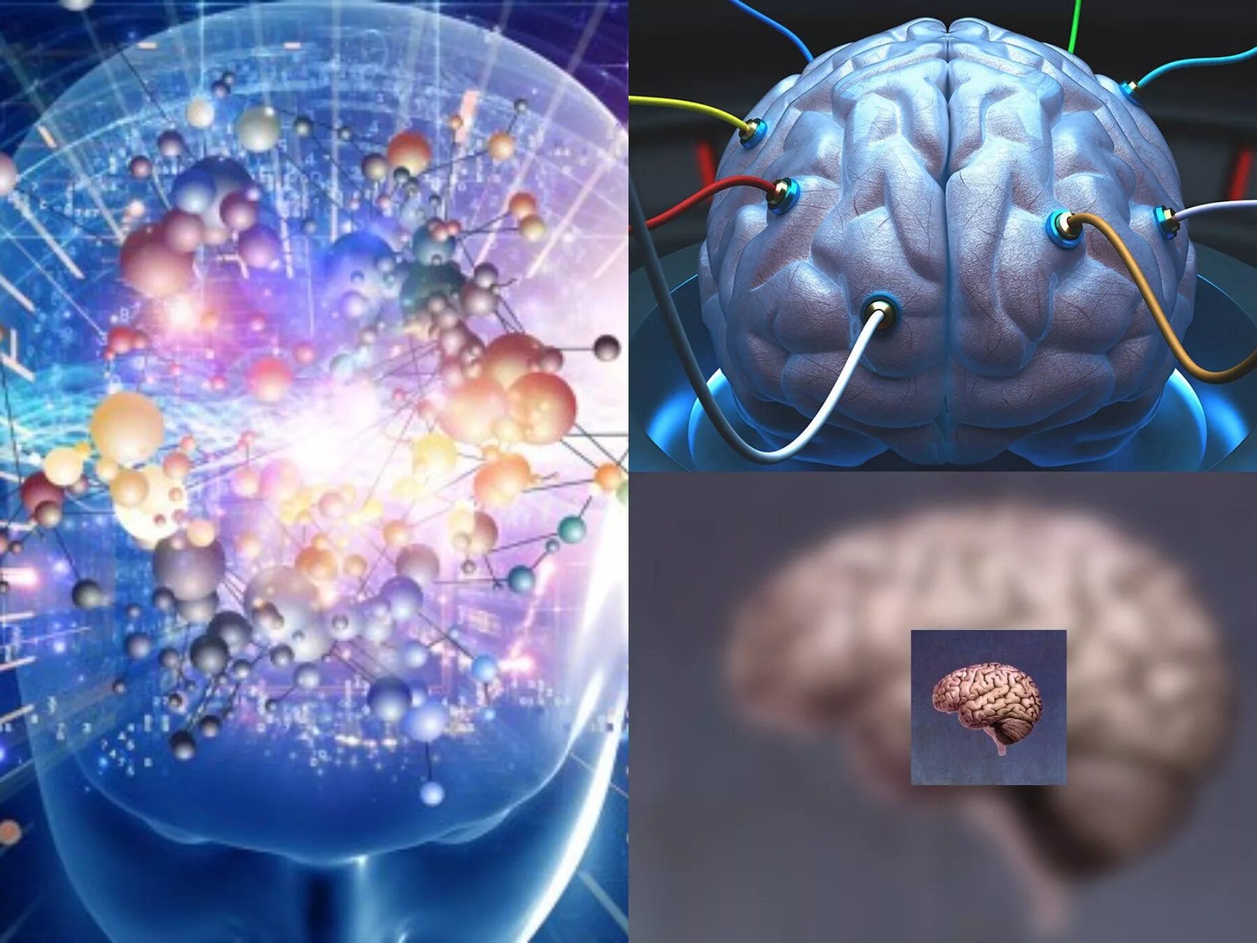 Brain scientist. Искусственный мозг человека. Синтетический мозг. Искусственный мозг выращенный. Мозг ученого.