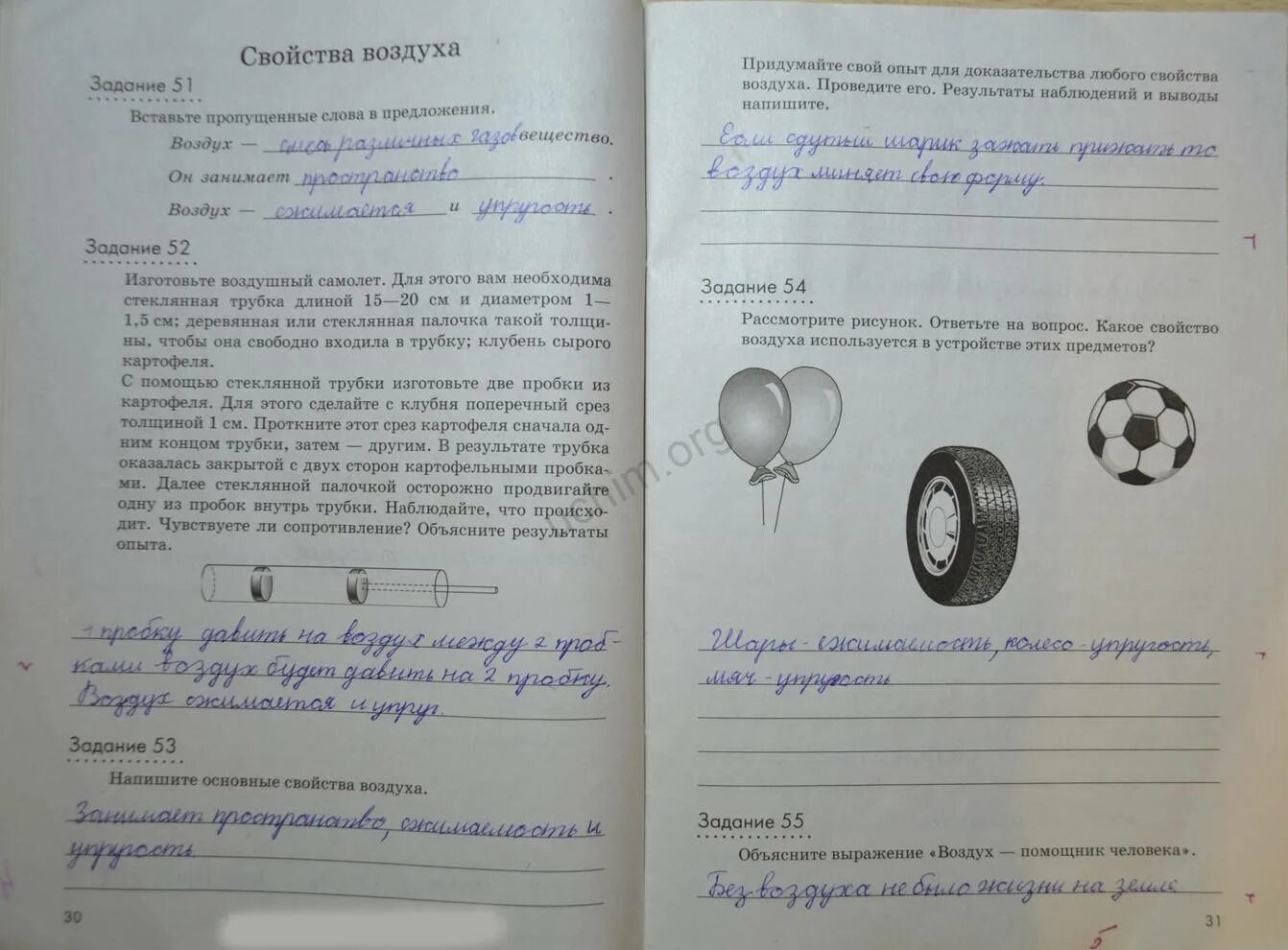 Контрольная работа по естествознанию 5 класс. Задачи по естествознанию 5 класс. природоведение 5 класс задания 2. задания из рабочей тетради по природоведению. задания из рабочей тетради по природоведению 3.
