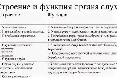 Таблица строение и функции отделов органа слуха. Строение и функции органа слуха. Слуховой анализатор таблица 8 класс биология. Строение органа слуха таблица.