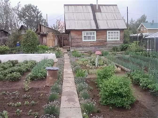 огород ижевск. мичуринский участок. свежие объявления сады. свежие объявления сады. садовое товарищество нижегородец.