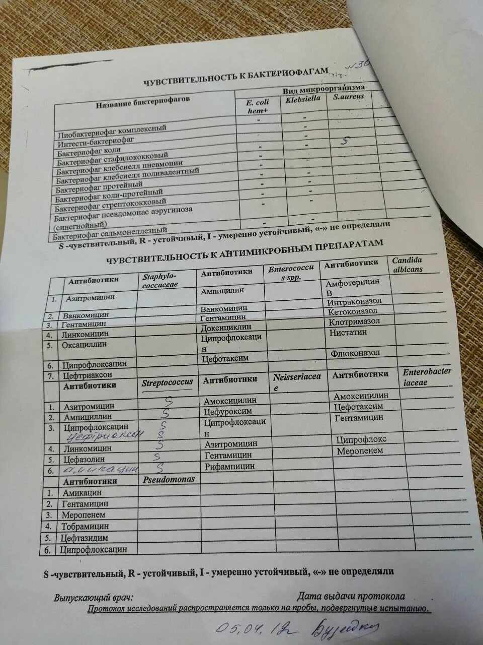 Клебсиелла пневмония чувствительность к антибиотикам. Клебсиелла антибиотики. Клебсиелла антибиотики. Схема назначения антибиотиков при пневмонии. Антибиотики от клебсиеллы.