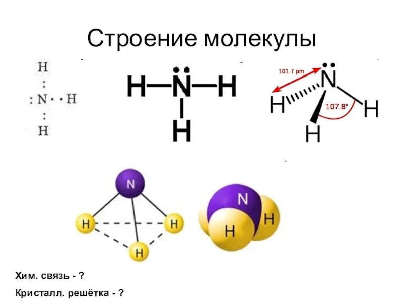 Строение хлорида аммония. Строение молекулы аммиака 9 класс. Строение молекулы аммиака структурная. Строение молекулы аммиака. Строение молекулы аммиака 9 класс химия.