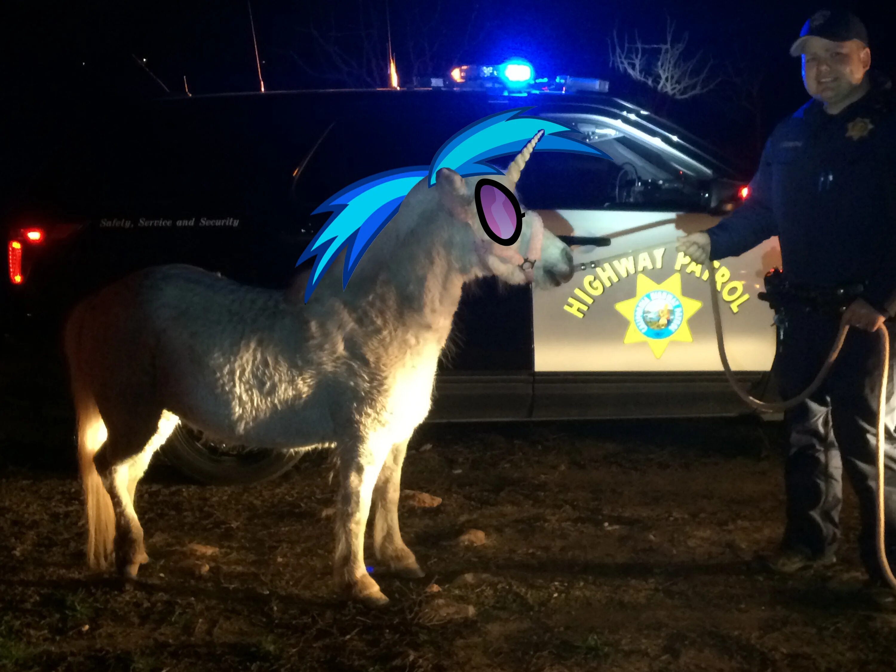 Настольная игра единорожки. Настольная игра единорожки. Единорог настоящий. Полицейский на единороге. Игра ловля единорога.