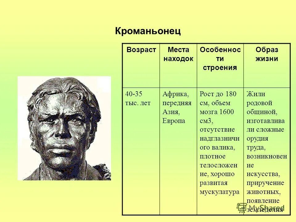 кроманьонец образ жизни. особенности черепа кроманьонца. люди мезолита. кроманьонец прямохождение. кроманьонец портрет.