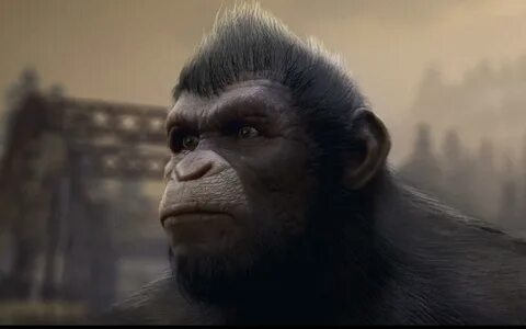 Ape planet watch