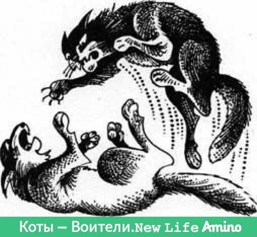 Боевые приёмы коты воители. Коты воители приемы. Коты воители боевые приемы. Боевые приёмы котов. Коты воители боевые приёмы сумрачного леса.