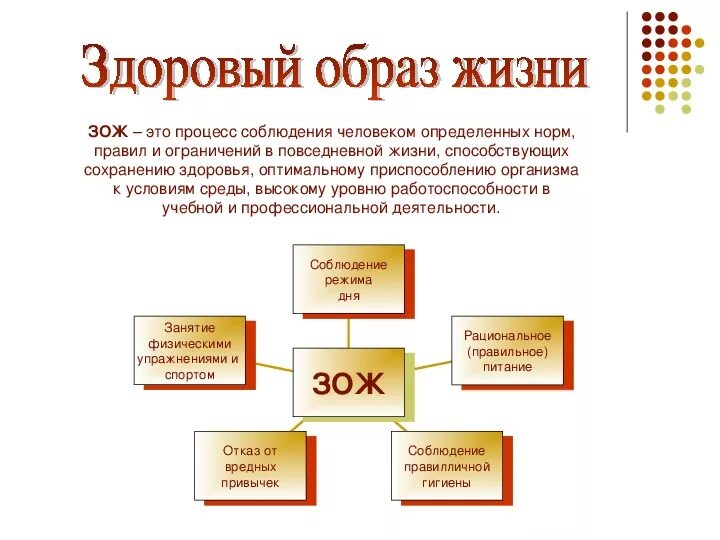 Процесс здорового образа жизни