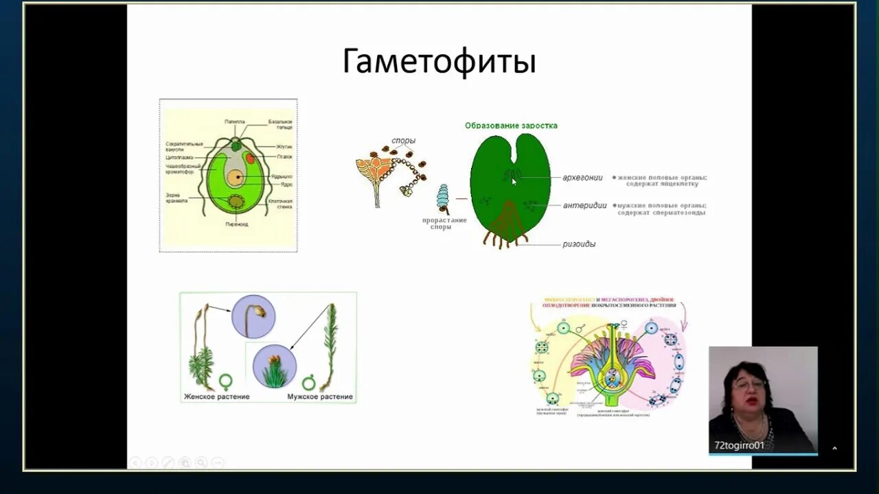 Биология 9 класс 2017. Тесты по биологии ГИА. ОГЭ биология 9 класс. Памятки о животных по биология для ГИА.