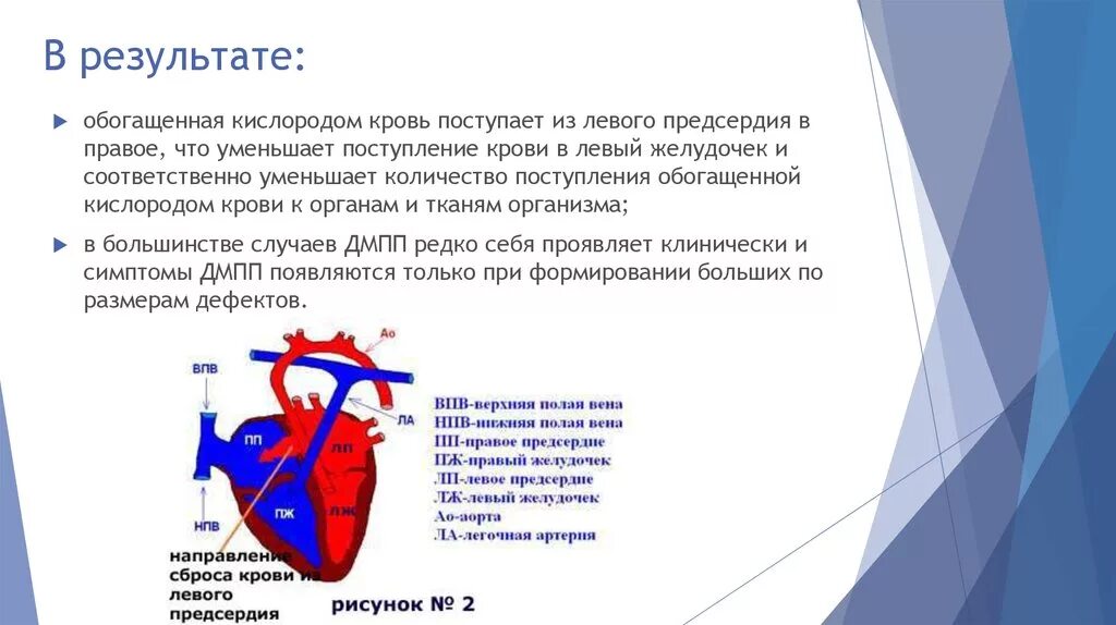 Какая кровь содержится в правой половине сердца