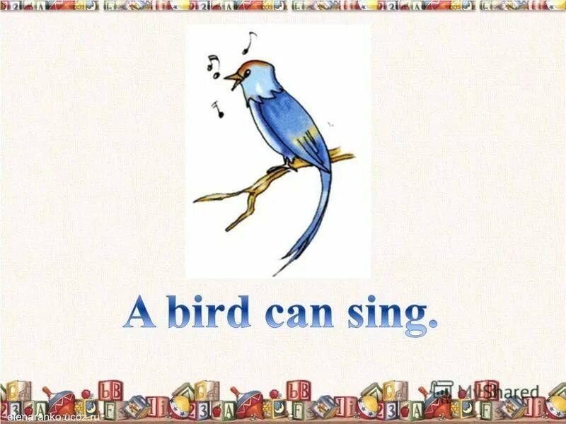 A bird can climb. Bird карточка на английском. Птичка спотлайт. Птицы на c на английском. Карточки по английскому птица.